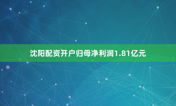 沈阳配资开户归母净利润1.81亿元
