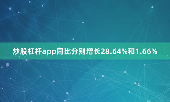炒股杠杆app同比分别增长28.64%和1.66%